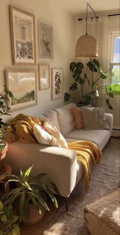 a living room filled with furniture and lots of plants