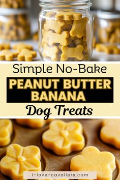 a jar filled with peanut butter banana dog treats