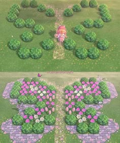 two different views of the same area with flowers and plants in it, one is pink