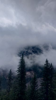 the mountains are covered in thick clouds and pine trees on either side is a mountain