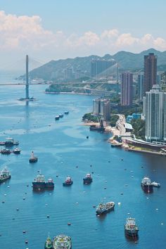 many boats are in the water near some tall buildings and hills, with a bridge in the background