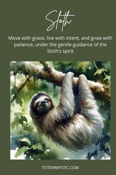 a painting of a sloth hanging on a tree branch with the caption's quote