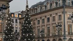 christmas trees are lit up in front of buildings