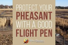 a sign that says protect your pheasant with a good flight pen