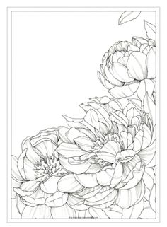 a black and white drawing of flowers