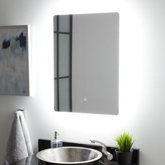 a bathroom sink under a mirror next to a potted plant