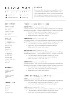 Resume Template / CV