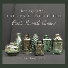 there are many glass vases on display in this photo and the caption reads heritage 1950 fall vase collection final harvest greens