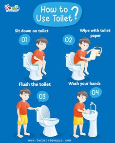 how to use the toilet with instructions