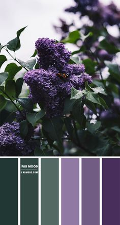 the color scheme is purple and green, with lilac flowers in shades of gray