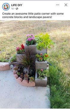 a bunch of plants that are sitting in some concrete blocks on the ground with grass around them