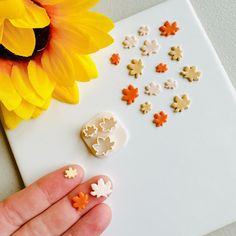 a person's hand is shown next to some small pieces of food and a sunflower