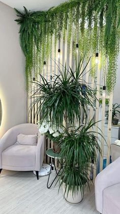 a living room filled with lots of plants next to a white chair and window covered in greenery