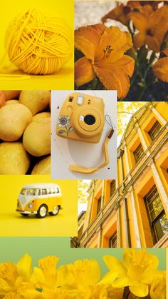 the collage shows yellow flowers and other things