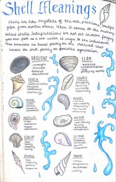 Shell Meaning, Art Coquillage, Wiccan Magic, Witch Spirituality, Grimoire Book, Magic Spell Book, Wiccan Spell Book, Magick Book, Witchcraft Spell Books