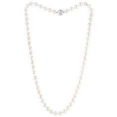 Classic Pearl Necklace The pearl necklace is by Tiffany & Co. The clasp is Platinum 950 The Pearls are approximately 8.25MM. The Pearls are Japanese Cultured Akoya Pearls The necklace is 23" long including the clasp. The necklace weighs 61.4 grams Tiffany Pearl Necklace, Tiffany Pearls, Gold Tiffany, Platinum Necklace, Japanese Pearls, Classic Pearl Necklace, Tiffany And Co, Akoya Pearls, The Pearl