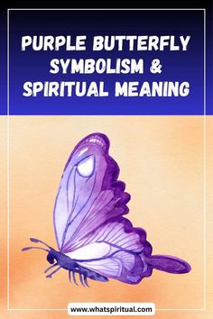 a purple butterfly with the words, purple butterfly symbol and spirital meaning on it