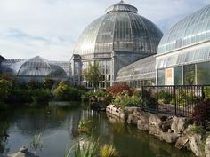 a pond in front of some glass buildings