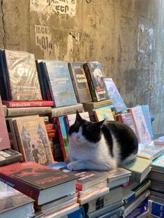 a black and white cat sitting on top of a pile of books next to each other