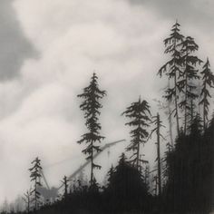 a black and white photo of trees on a hill with clouds in the sky above