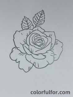 a black and white drawing of a rose