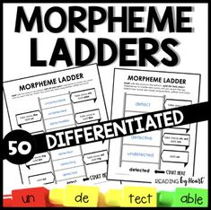 morpheme ladders with the words'different types and colors to describe them