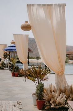 an outdoor area with potted plants and white drapes on the side of it