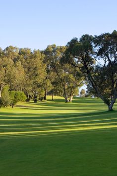 a green golf course with trees in the background