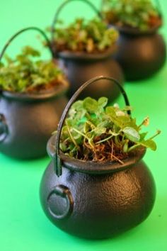 four potted plants are sitting in the middle of a green tableclothed surface