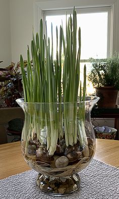 a vase filled with water and plants on top of a table