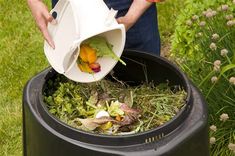 a person pouring water into a trash can filled with plants and vegetables in the grass