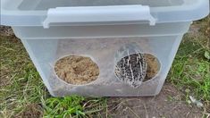 a plastic container filled with dirt and grass