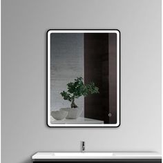 a bathroom sink with a mirror above it and a potted plant on the counter