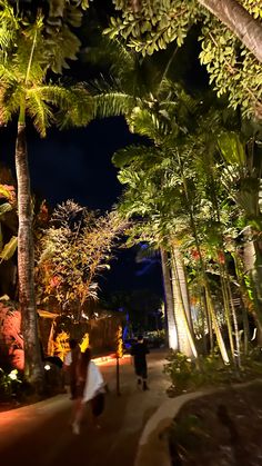 some people are walking down a path between palm trees and other greenery at night