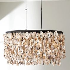 a chandelier made out of seashells hanging from a ceiling