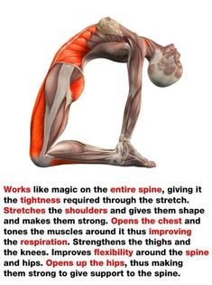 Yoga Facts, Yoga Anatomy, Daily Yoga Workout, Quick Workout Routine, Health And Fitness Articles, Back Pain Exercises