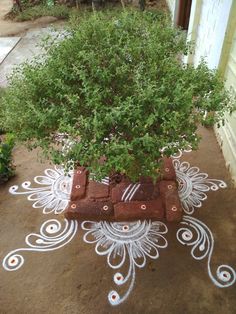 a potted plant sitting on top of a cement block next to a sidewalk covered in white paint