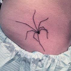 Daddy Long Legs Spider Tattoo, Daddy Long Leg Tattoo, Stick And Poke Spider, Spider Stick And Poke, Daddy Long Legs Spider, Crazy Tattoos, Funky Tattoos, Party Tattoos, Bug Tattoo