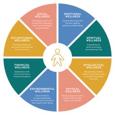 Wellness Wheel Wellness Wheel Assessment, The Wheel Of Wellness, Wellness Wheel Activity, Well Rounded Person, Wellness Wheel Worksheet, Wheel Of Wellness, Mental Health Plan, Wellness Wheel, Emotions Wheel