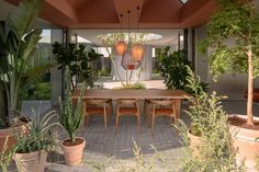 a dining table surrounded by potted plants