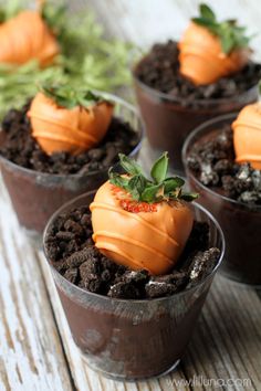 small pots filled with dirt and carrots on top of a wooden table