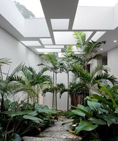 the inside of a house with lots of trees and plants on the ground in front of it