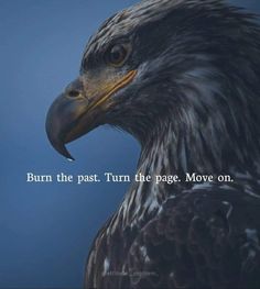 an eagle with the words burn the past turn the page move on