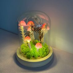 a glass dome with moss and mushrooms inside