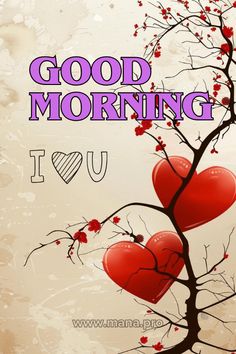 two red hearts hanging from a tree with the words good morning i love you