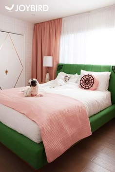 a small dog sitting on top of a green bed in a room with pink curtains