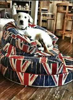 a white dog laying on top of a union jack bed in a room with wooden floors