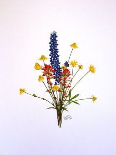 a bouquet of wildflowers and daisies against a white background