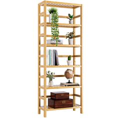 a wooden shelf filled with books and plants