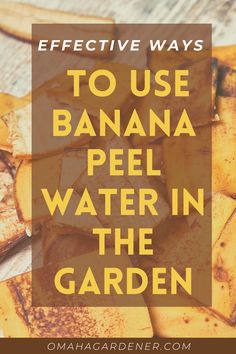 bananas with the words effective ways to use banana peel water in the garden